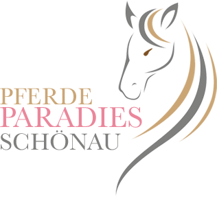 Pferdeparadies Schönau I Reitpädagogik im Lechtal - Tirol